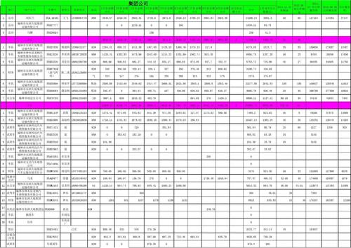貨運(yùn)車(chē)輛運(yùn)行情況表貨運(yùn)車(chē)輛運(yùn)行情況表格