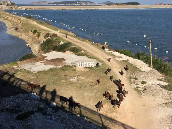 平潭島貨運(yùn)平潭貨運(yùn)站