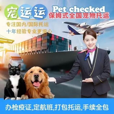 寵物貨運(yùn)手續(xù)寵物貨運(yùn)手續(xù)辦理流程