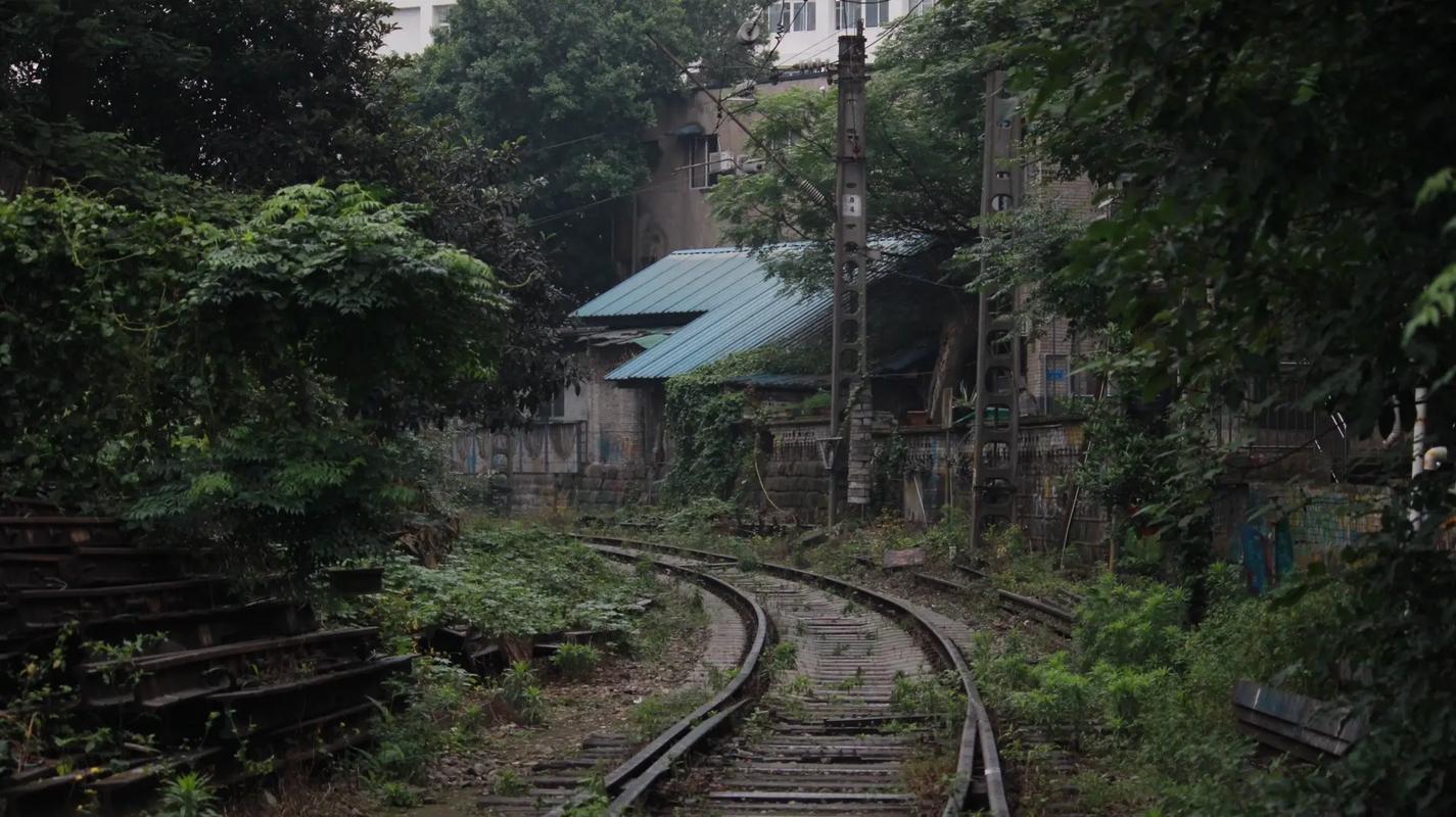 廢棄貨運鐵路廢棄貨運鐵路的危害