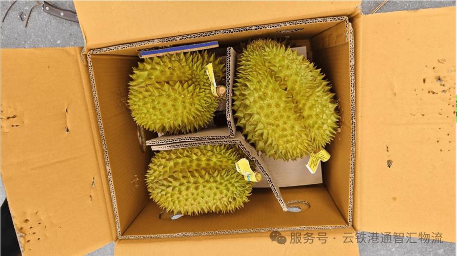 榴蓮發(fā)貨運榴蓮發(fā)貨怎么運輸